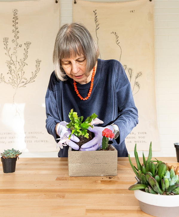 A person planting plants. A person planting plants.