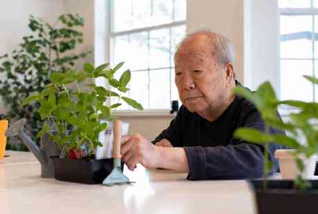 Resident in a garden class