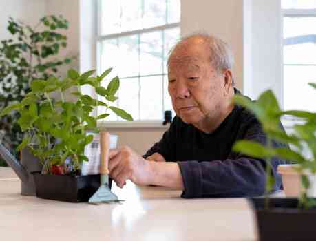 Resident in a garden class