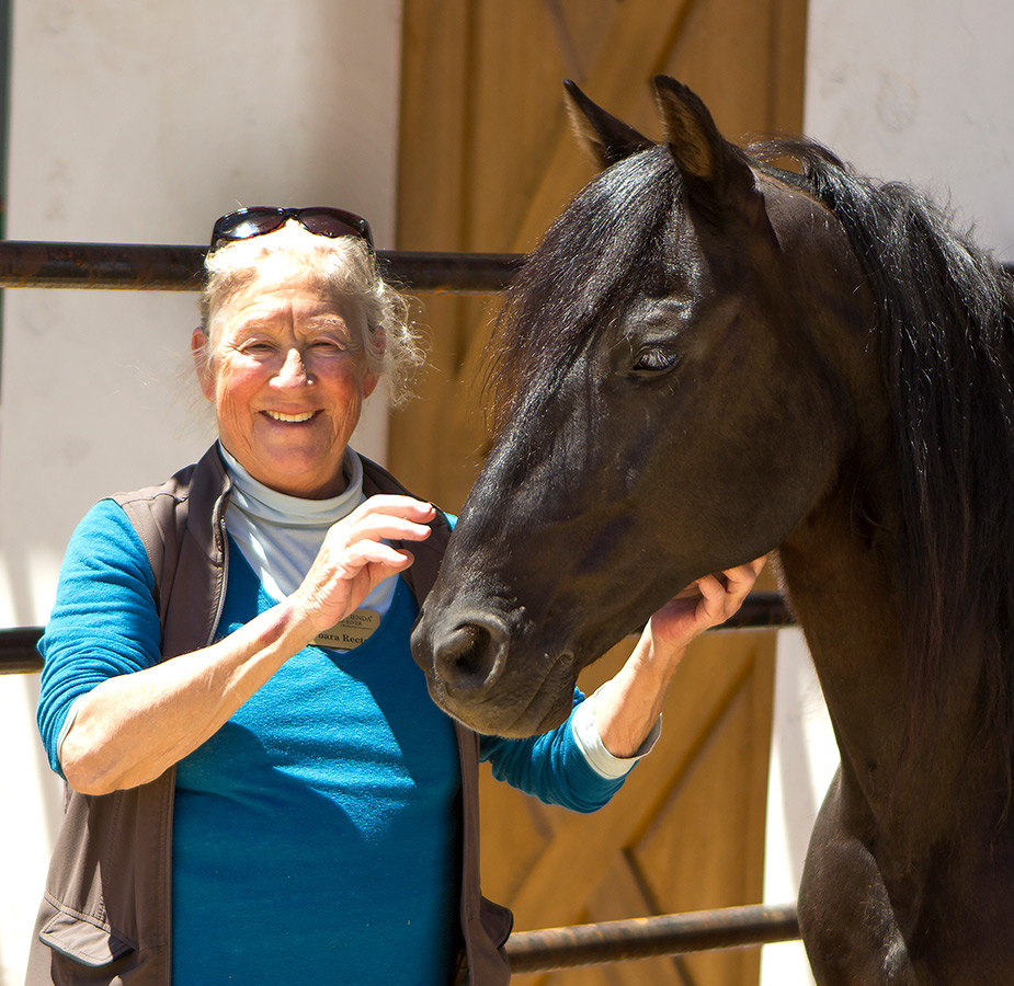 An associate with a black horse at the stables.