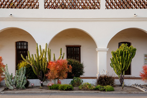 Arches outside with desert gardening.