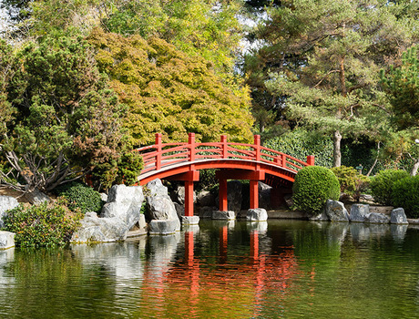 A bridge over water in a Japanese garden.