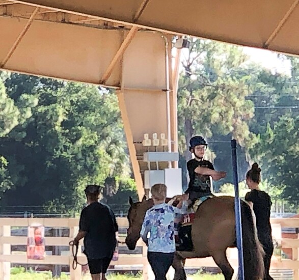 child on horse with adults walking near by