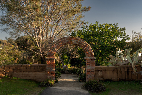 A garden area with an arch.
