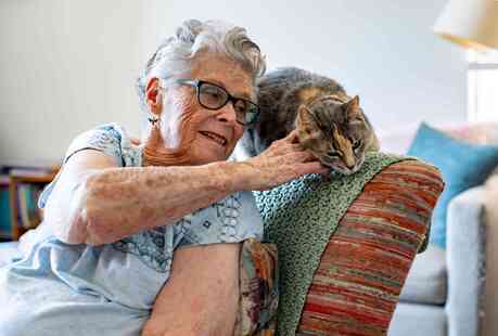 Resident sitting in a chair in her residence and petting her gray cat who is sitting on the back of the chair.