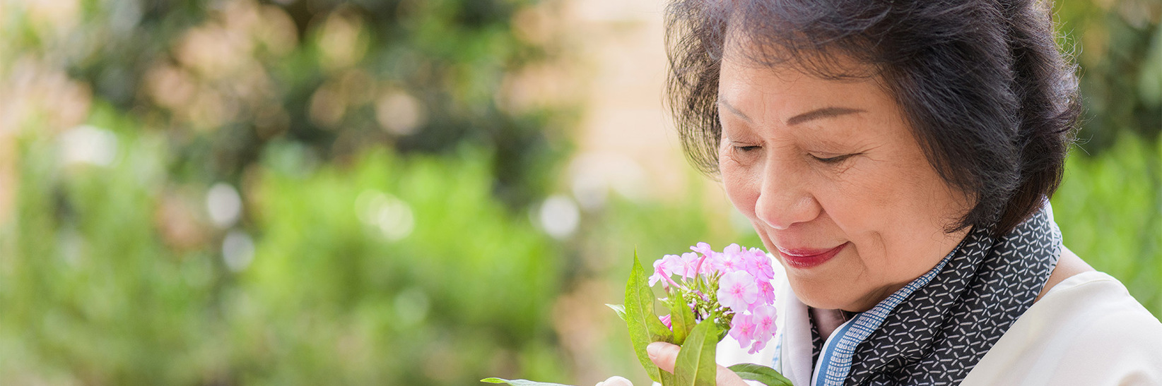 A person smelling a flower. A person smelling a flower.