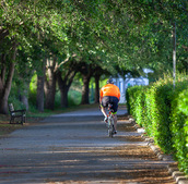 A person is riding a bike on a nature trail.