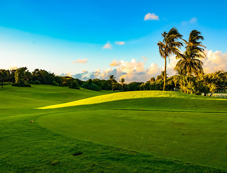A golf course.