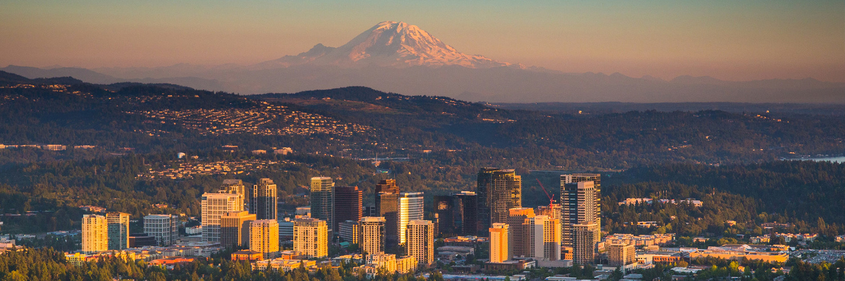 Downtown Bellevue. Downtown Bellevue.