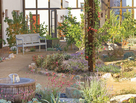 A view of the garden with a small fountain and desert plants and flowers.