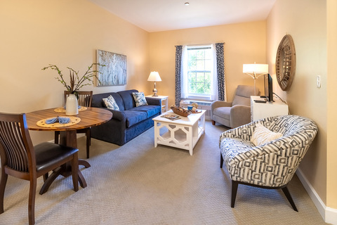 A fully furnished living room.