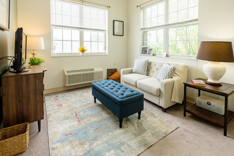 A fully furnished living room.