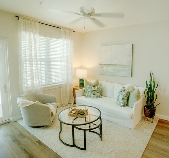 A fully furnished living room.
