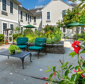 The courtyard with red hibiscus plants.