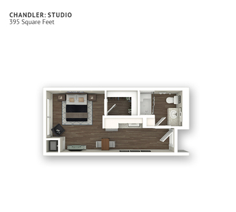 An assisted living floor plan with an open living/bedroom area. Approximately 395 square feet.