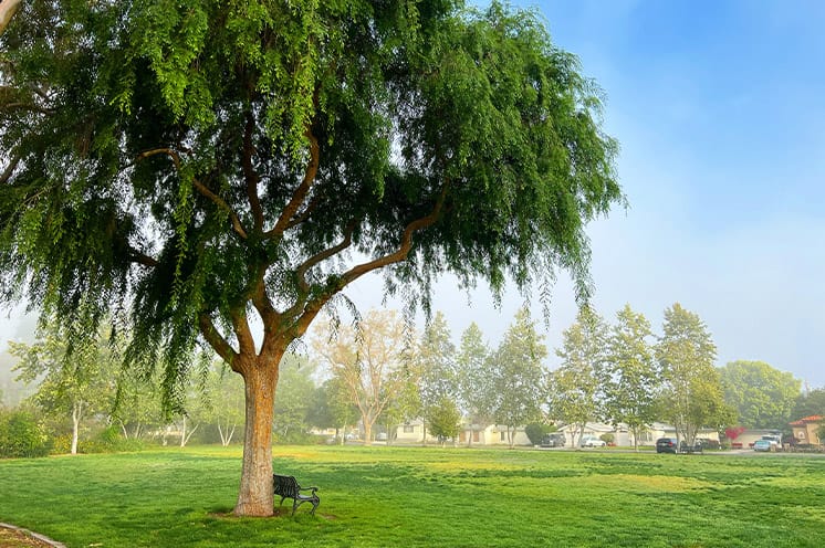 San Gabriel