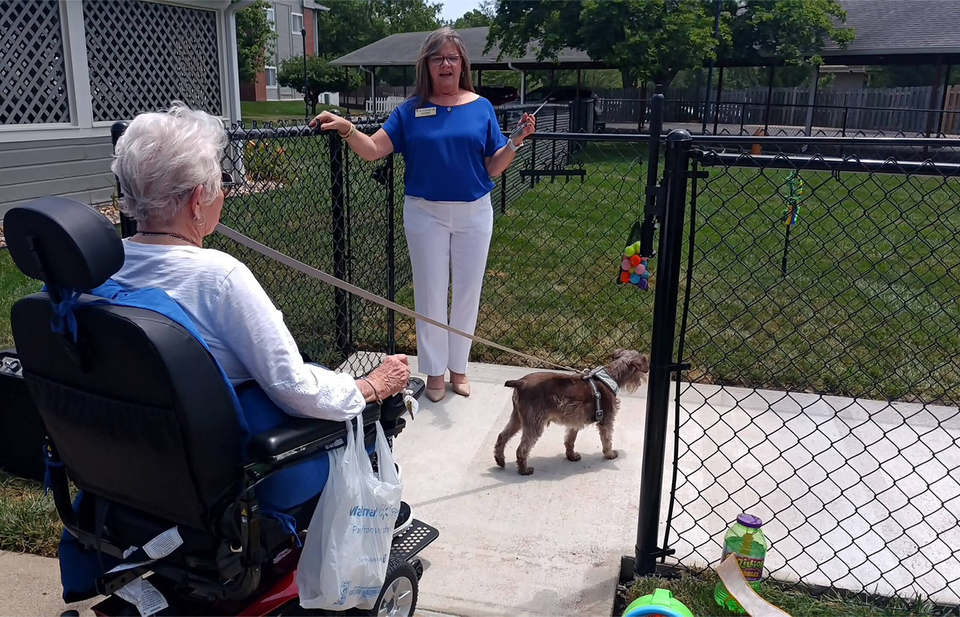 A person putting a dog in the dog park.