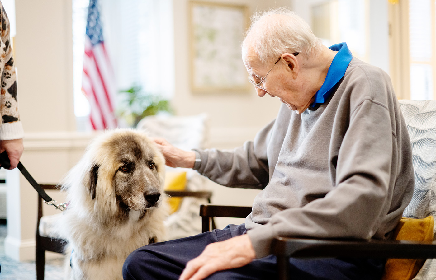 A person petting a dog.