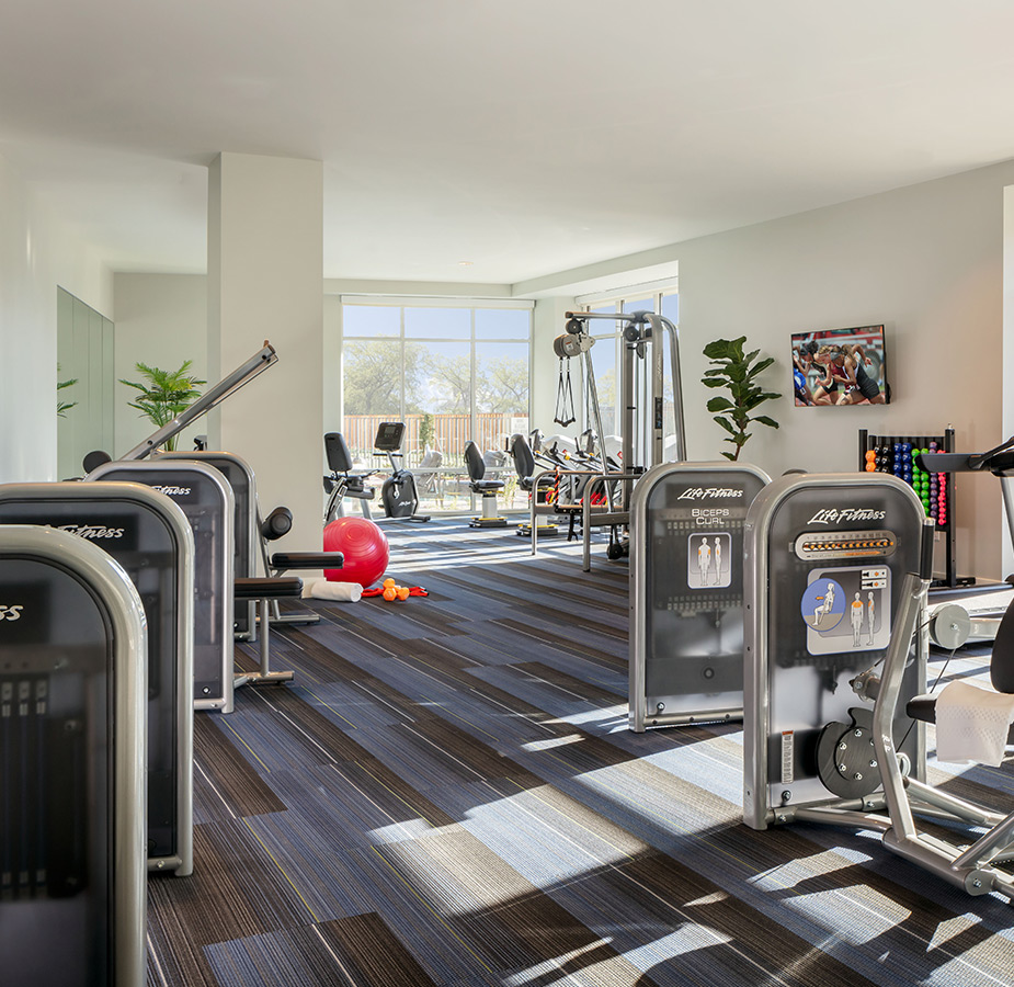 Accordion image Accordion image