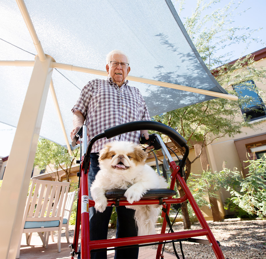 A person pushing their dog on a walker outside.