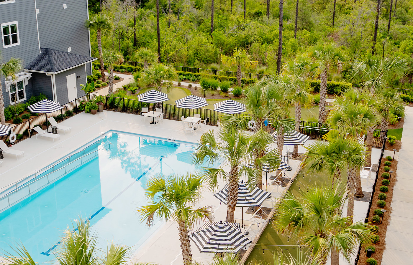 A pool with palm trees. 