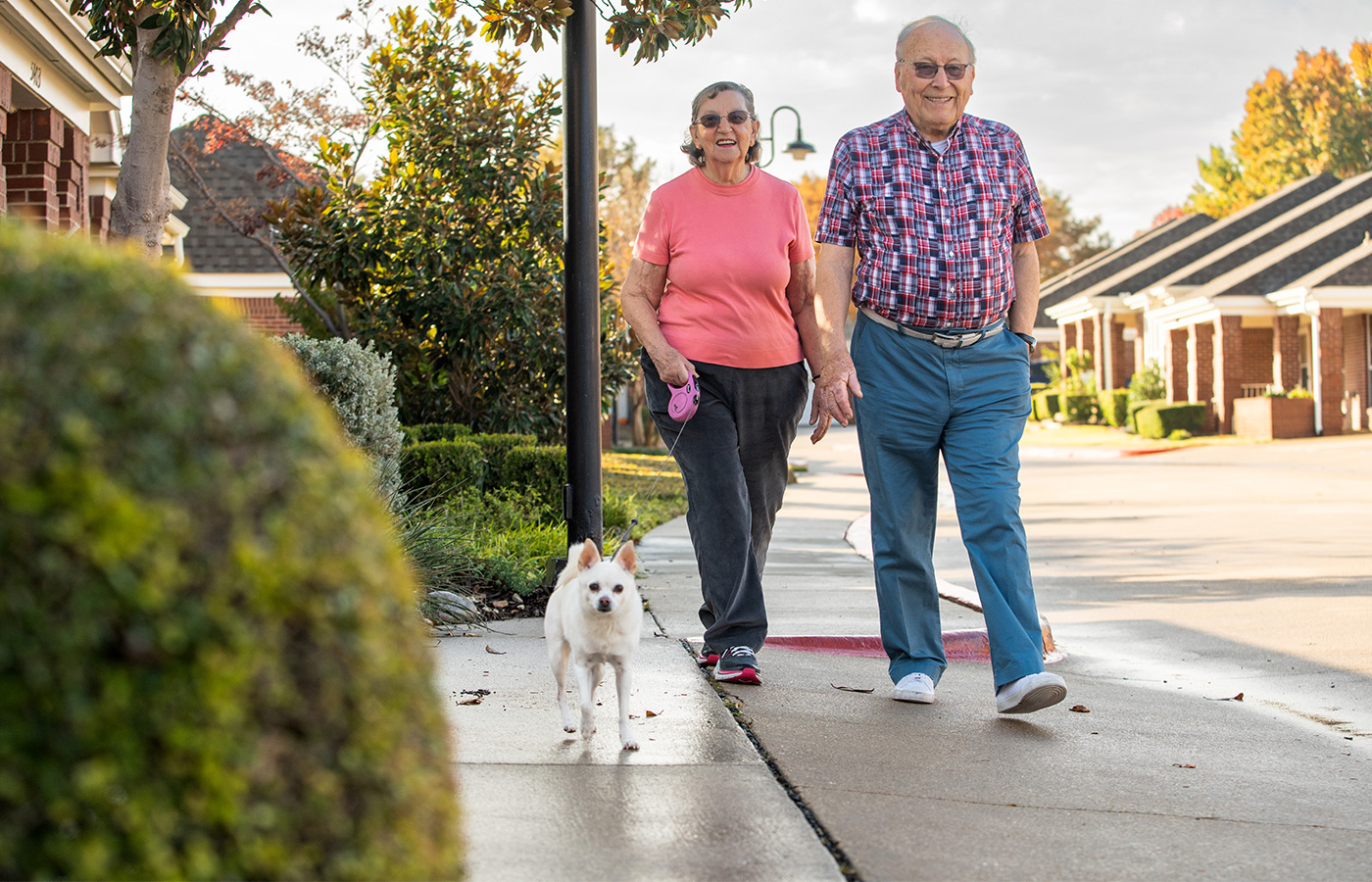 A couple walk down the street with their dog. A couple walk down the street with their dog.