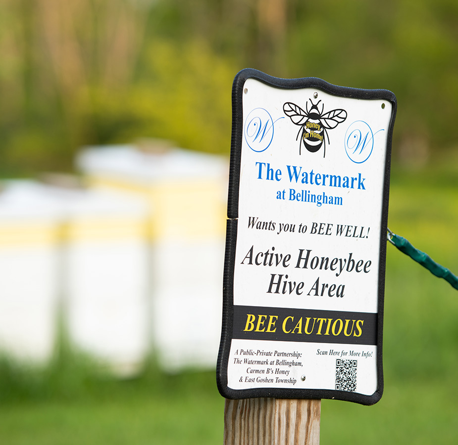 A sign pointing out the bee hives in the background.