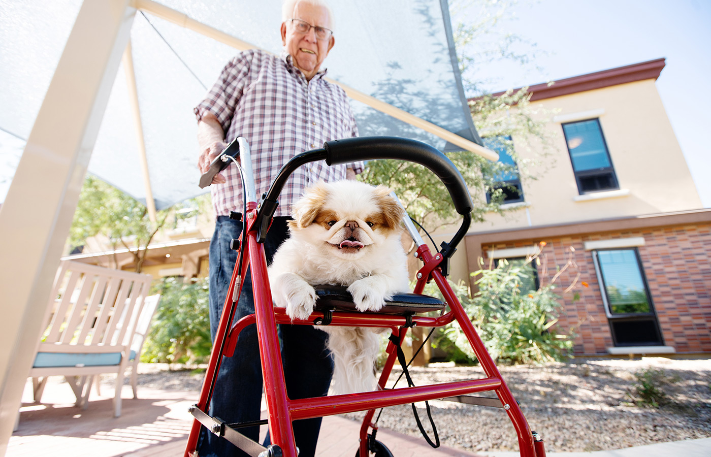 A person with their dog outside.