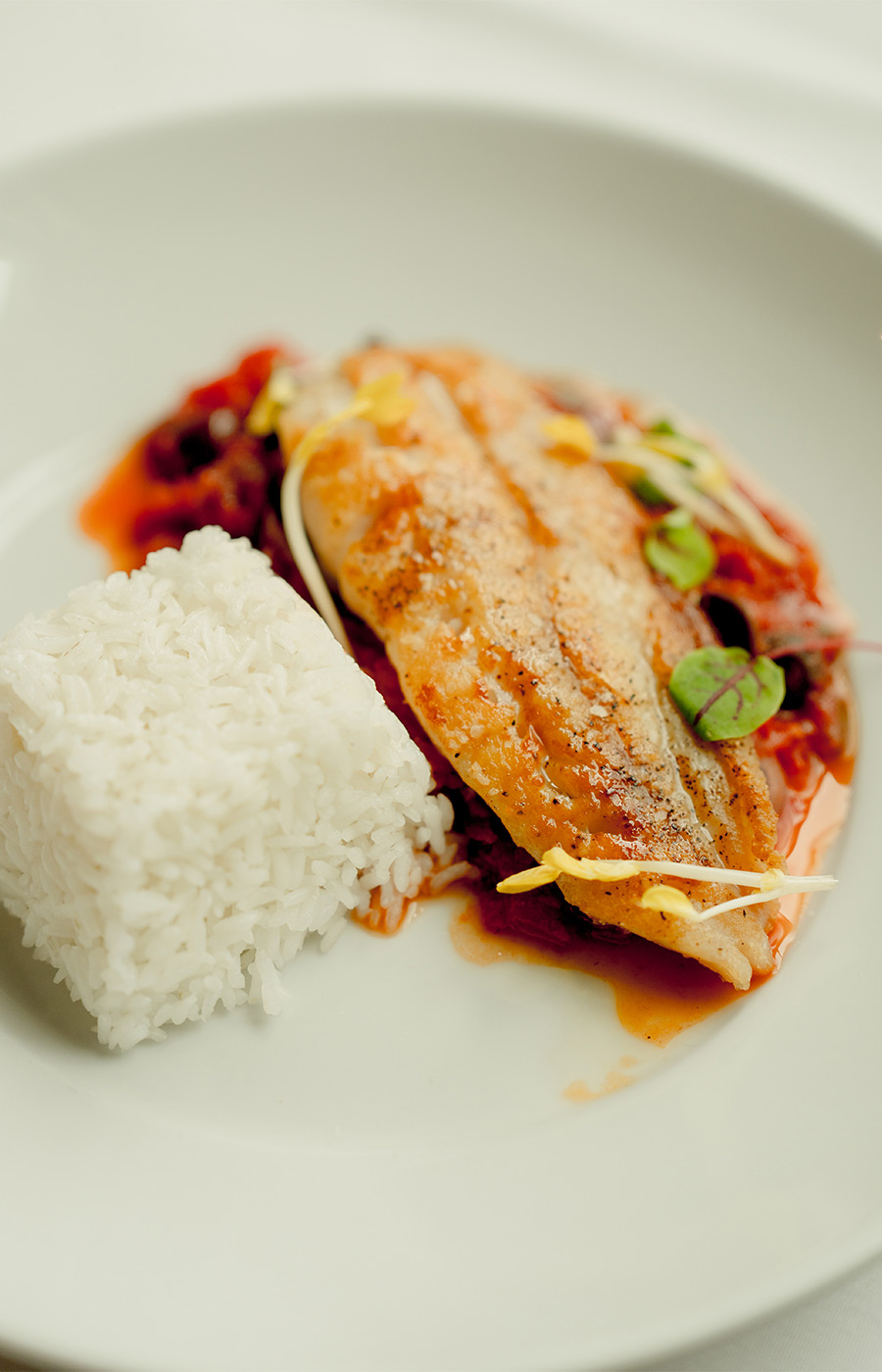 Fish with rice on a plate.