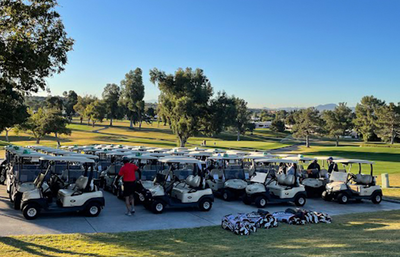 Golf carts all lined up.