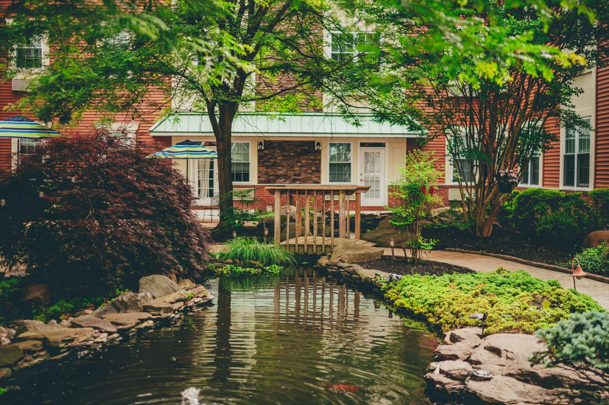 A garden outside of Woodbury Mews.