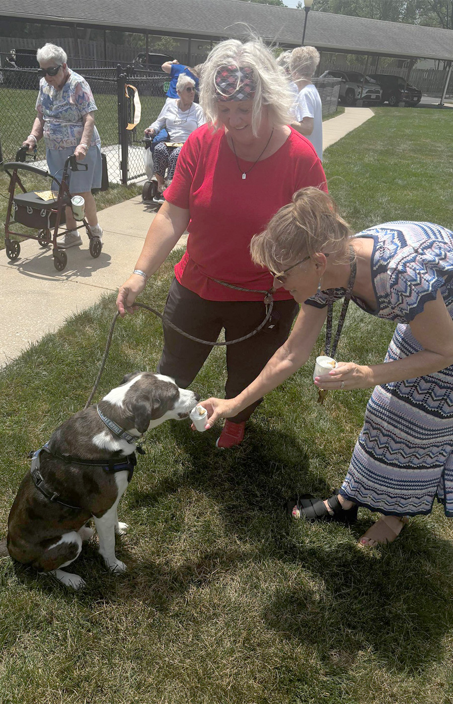 A person petting a dog.