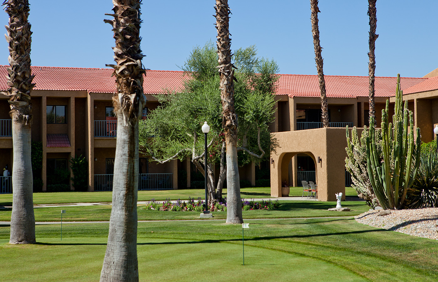 Exterior building with tall palm trees.