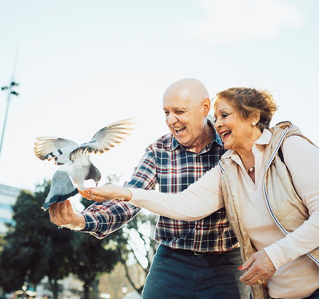 A bird is eating out of a resident's hands.