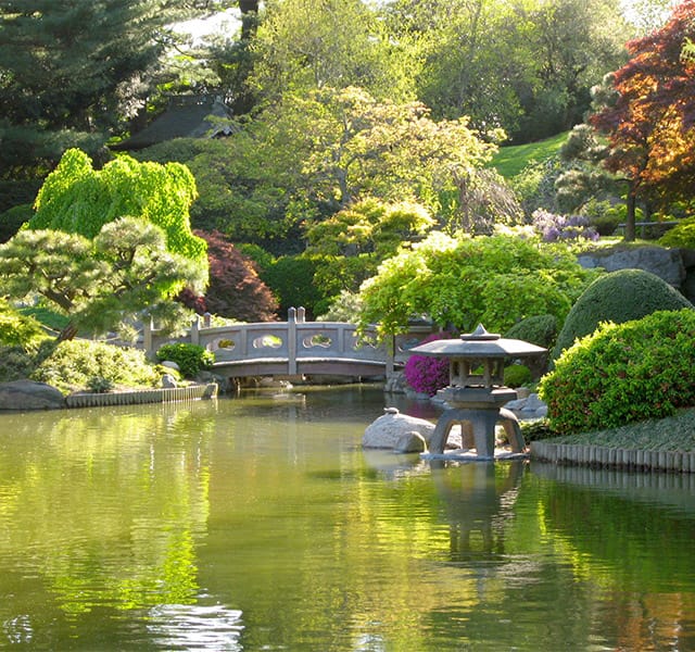 Botanical gardens in Brooklyn.