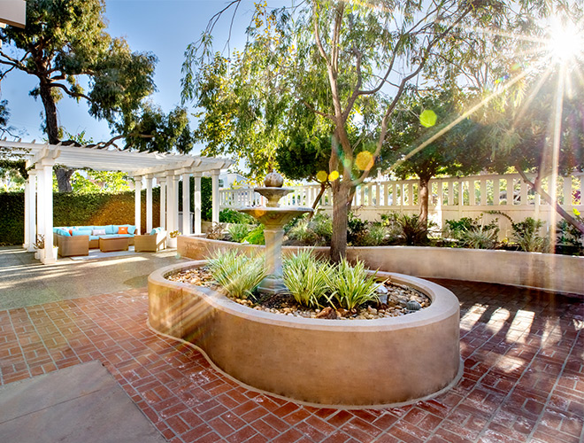 Sunny garden and patio area.