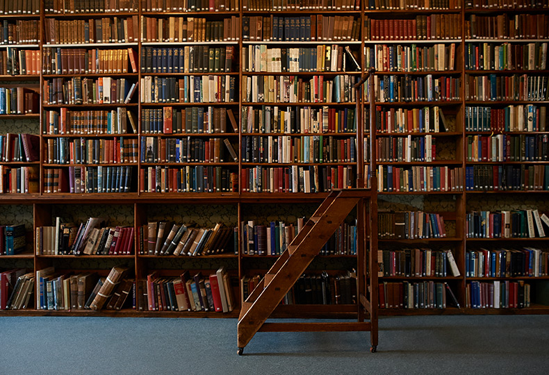 Wooden detailed library.