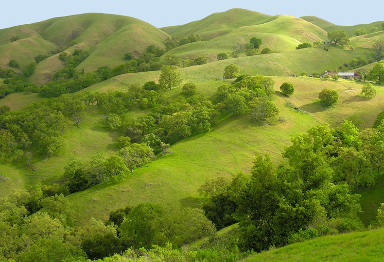 Green hillside.