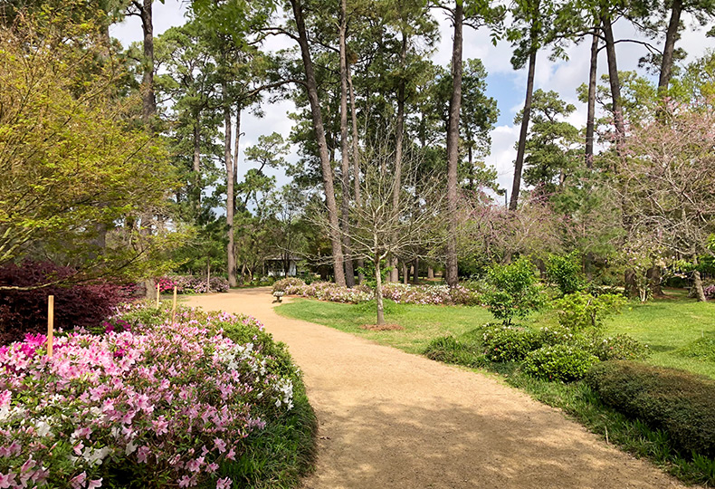 A gravel path through a garden with flowers.