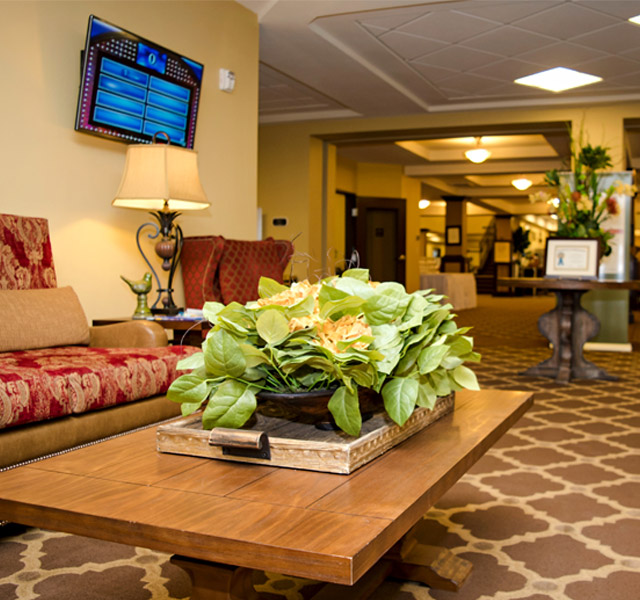 view of lobby with light green plants on the coffee table in front of the sofa