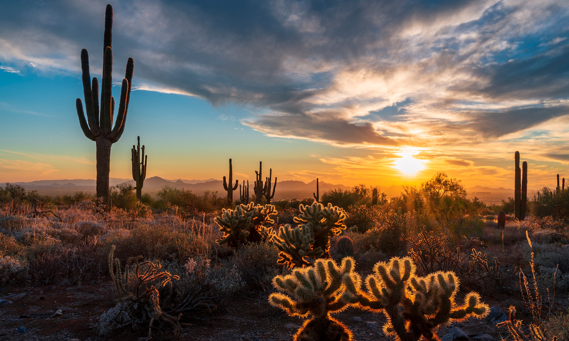 The sun is setting over the Arizona desert.