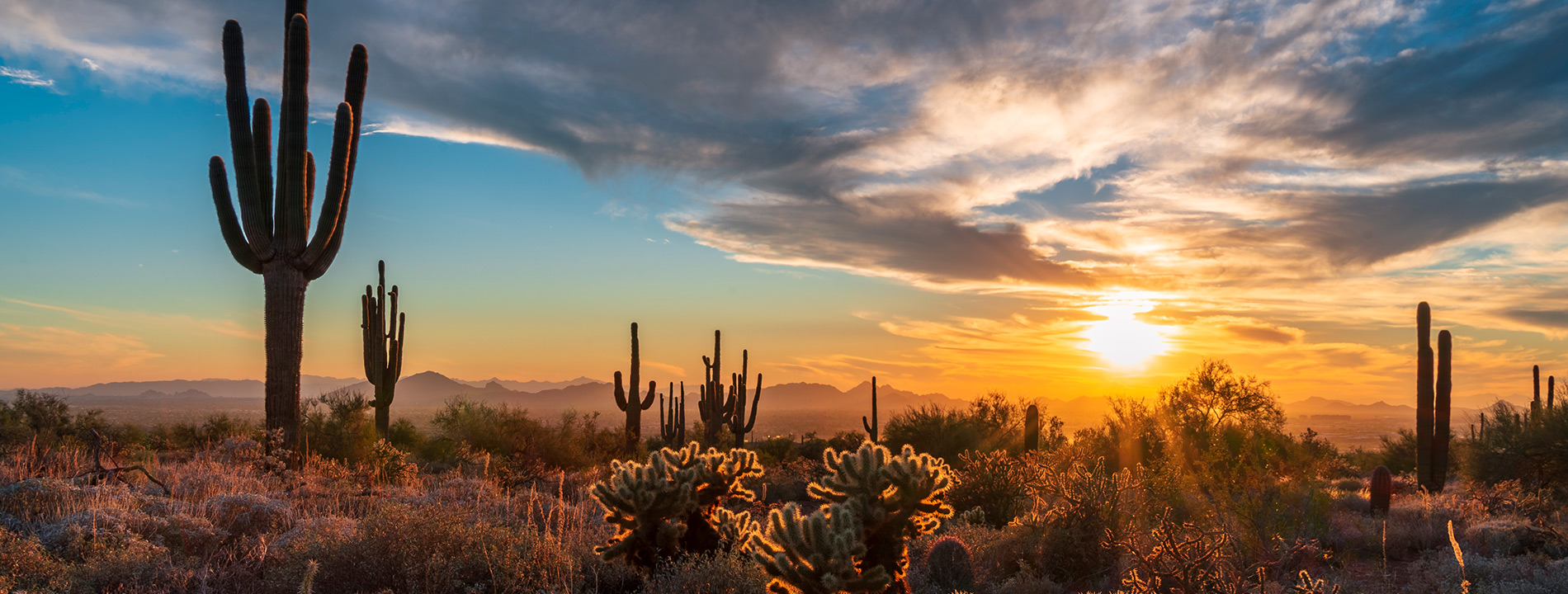 The sun is setting over the Arizona desert.