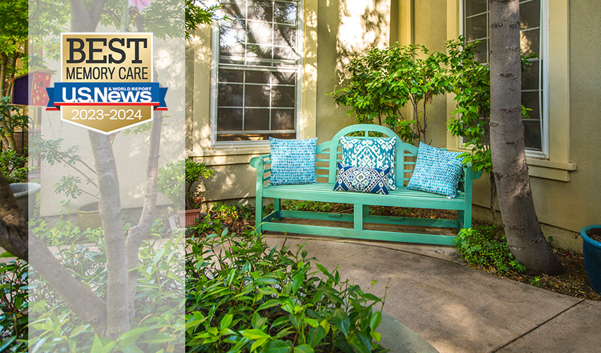 A bench in a garden.