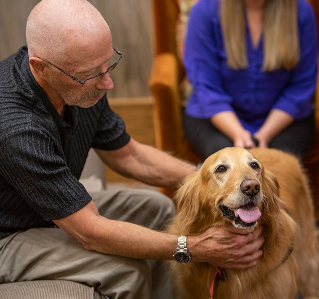 A person petting a dog.