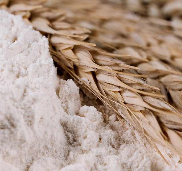A close-up of wheat and ground flour.