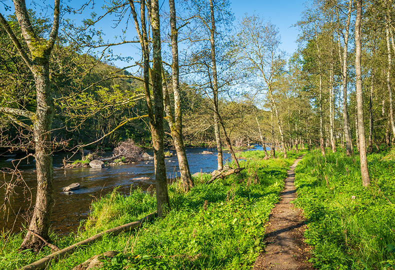 A river trail.