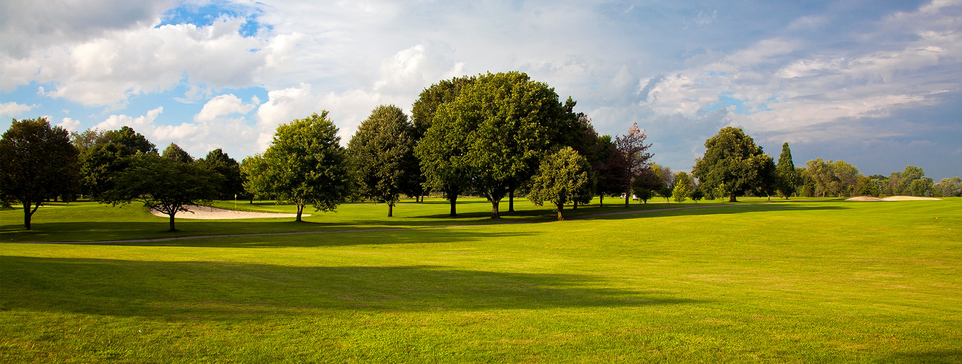 Green golf course with trees.