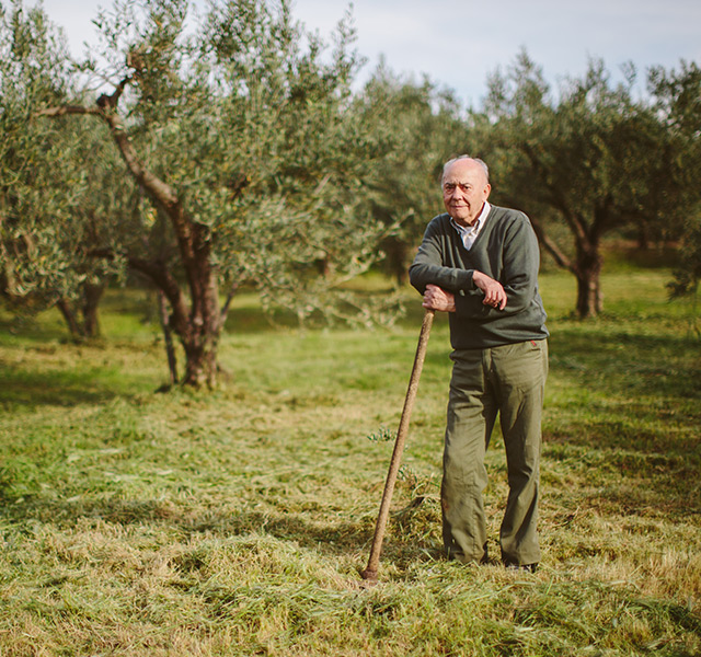 A person standing in a fruit orchard.