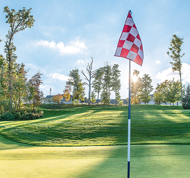 A flag on a golf green.