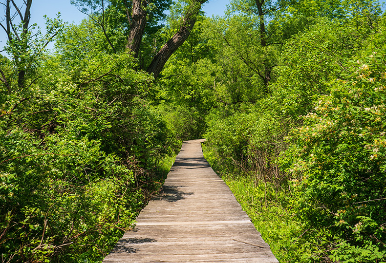 Ganondagan State Park.